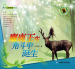 暂无图片
