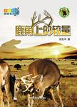 暂无图片