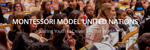 模拟联合国国际青少年峰会